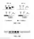 Fig. 23 - COMPOSITIONS AND METHODS FOR TARGETED EPIGENETIC MODIFICATION
