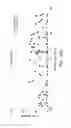 Fig. 27 - COMPOSITIONS AND METHODS FOR TARGETED EPIGENETIC MODIFICATION