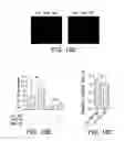 Fig. 31 - COMPOSITIONS AND METHODS FOR TARGETED EPIGENETIC MODIFICATION
