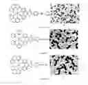 Fig. 05 - Application of ruthenium complexes as nucleic acid vectors of target cell nucleuses