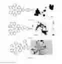 Fig. 06 - Application of ruthenium complexes as nucleic acid vectors of target cell nucleuses