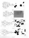 Fig. 10 - Application of ruthenium complexes as nucleic acid vectors of target cell nucleuses