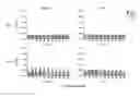 Fig. 04 - COMPOSITIONS FOR GASTROINTESTINAL ADMINISTRATION OF RNA