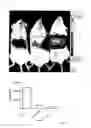 Fig. 16 - COMPOSITIONS FOR GASTROINTESTINAL ADMINISTRATION OF RNA