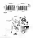Fig. 19 - COMPOSITIONS FOR GASTROINTESTINAL ADMINISTRATION OF RNA