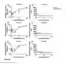 Fig. 24 - COMPOSITIONS FOR GASTROINTESTINAL ADMINISTRATION OF RNA