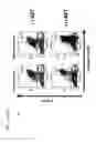 Fig. 06 - Thymidylate kinase fusions and uses thereof