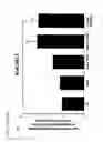 Fig. 29 - Thymidylate kinase fusions and uses thereof