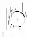 Fig. 40 - Thymidylate kinase fusions and uses thereof