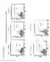 Fig. 48 - Thymidylate kinase fusions and uses thereof