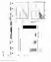 Fig. 49 - Thymidylate kinase fusions and uses thereof