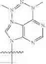 Fig. 125 - MODIFIED NUCLEOSIDES, NUCLEOTIDES, AND NUCLEIC ACIDS, AND USES THEREOF