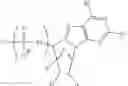 Fig. 127 - MODIFIED NUCLEOSIDES, NUCLEOTIDES, AND NUCLEIC ACIDS, AND USES THEREOF