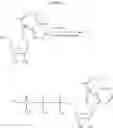 Fig. 141 - MODIFIED NUCLEOSIDES, NUCLEOTIDES, AND NUCLEIC ACIDS, AND USES THEREOF