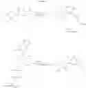 Fig. 149 - MODIFIED NUCLEOSIDES, NUCLEOTIDES, AND NUCLEIC ACIDS, AND USES THEREOF