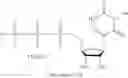 Fig. 177 - MODIFIED NUCLEOSIDES, NUCLEOTIDES, AND NUCLEIC ACIDS, AND USES THEREOF