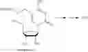 Fig. 181 - MODIFIED NUCLEOSIDES, NUCLEOTIDES, AND NUCLEIC ACIDS, AND USES THEREOF