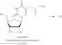 Fig. 185 - MODIFIED NUCLEOSIDES, NUCLEOTIDES, AND NUCLEIC ACIDS, AND USES THEREOF