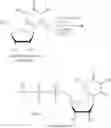 Fig. 196 - MODIFIED NUCLEOSIDES, NUCLEOTIDES, AND NUCLEIC ACIDS, AND USES THEREOF