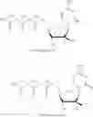Fig. 200 - MODIFIED NUCLEOSIDES, NUCLEOTIDES, AND NUCLEIC ACIDS, AND USES THEREOF