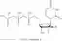 Fig. 207 - MODIFIED NUCLEOSIDES, NUCLEOTIDES, AND NUCLEIC ACIDS, AND USES THEREOF