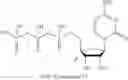 Fig. 213 - MODIFIED NUCLEOSIDES, NUCLEOTIDES, AND NUCLEIC ACIDS, AND USES THEREOF