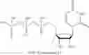 Fig. 219 - MODIFIED NUCLEOSIDES, NUCLEOTIDES, AND NUCLEIC ACIDS, AND USES THEREOF