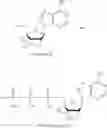 Fig. 222 - MODIFIED NUCLEOSIDES, NUCLEOTIDES, AND NUCLEIC ACIDS, AND USES THEREOF