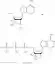 Fig. 240 - MODIFIED NUCLEOSIDES, NUCLEOTIDES, AND NUCLEIC ACIDS, AND USES THEREOF