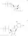 Fig. 28 - MODIFIED NUCLEOSIDES, NUCLEOTIDES, AND NUCLEIC ACIDS, AND USES THEREOF