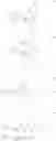Fig. 65 - MODIFIED NUCLEOSIDES, NUCLEOTIDES, AND NUCLEIC ACIDS, AND USES THEREOF