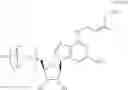 Fig. 70 - MODIFIED NUCLEOSIDES, NUCLEOTIDES, AND NUCLEIC ACIDS, AND USES THEREOF