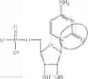 Fig. 88 - MODIFIED NUCLEOSIDES, NUCLEOTIDES, AND NUCLEIC ACIDS, AND USES THEREOF