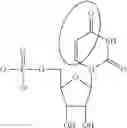 Fig. 89 - MODIFIED NUCLEOSIDES, NUCLEOTIDES, AND NUCLEIC ACIDS, AND USES THEREOF