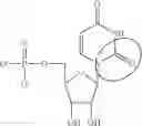 Fig. 90 - MODIFIED NUCLEOSIDES, NUCLEOTIDES, AND NUCLEIC ACIDS, AND USES THEREOF