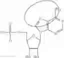 Fig. 91 - MODIFIED NUCLEOSIDES, NUCLEOTIDES, AND NUCLEIC ACIDS, AND USES THEREOF