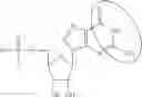 Fig. 98 - MODIFIED NUCLEOSIDES, NUCLEOTIDES, AND NUCLEIC ACIDS, AND USES THEREOF