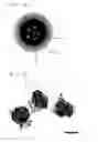 Fig. 02 - Preparation method for magnetic composite for treating and diagnosing cancer