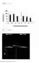Fig. 07 - Preparation method for magnetic composite for treating and diagnosing cancer