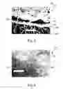 Fig. 03 - PROCESS FOR MANUFACTURING ABSORBENT SANITARY PAPER PRODUCTS
