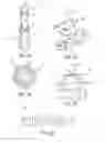 Fig. 11 - Surgical adjuncts and medicants for promoting lung function