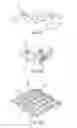 Fig. 12 - Surgical adjuncts and medicants for promoting lung function