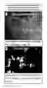 Fig. 06 - Lyophilized polymer scaffold compositions, processes for preparation and use in anabolic wound repair