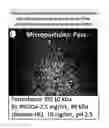Fig. 07 - Lyophilized polymer scaffold compositions, processes for preparation and use in anabolic wound repair