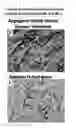Fig. 16 - Lyophilized polymer scaffold compositions, processes for preparation and use in anabolic wound repair