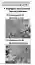 Fig. 17 - Lyophilized polymer scaffold compositions, processes for preparation and use in anabolic wound repair