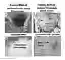 Fig. 19 - Lyophilized polymer scaffold compositions, processes for preparation and use in anabolic wound repair