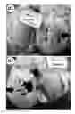 Fig. 32 - Lyophilized polymer scaffold compositions, processes for preparation and use in anabolic wound repair