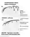 Fig. 35 - Lyophilized polymer scaffold compositions, processes for preparation and use in anabolic wound repair
