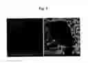 Fig. 04 - Discontinuous Coating Method Using A Bioabsorbable And Bioactive Biomaterial Applied To Solid Substrates, Discontinuous Coating And Use Thereof